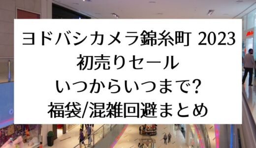 錦糸町ヨドバシカメラ2023初売りセール｜いつからいつまで?福袋/混雑回避まとめ