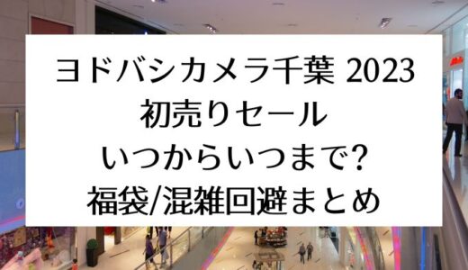 千葉ヨドバシカメラ2023初売りセール｜いつからいつまで?福袋/混雑回避まとめ